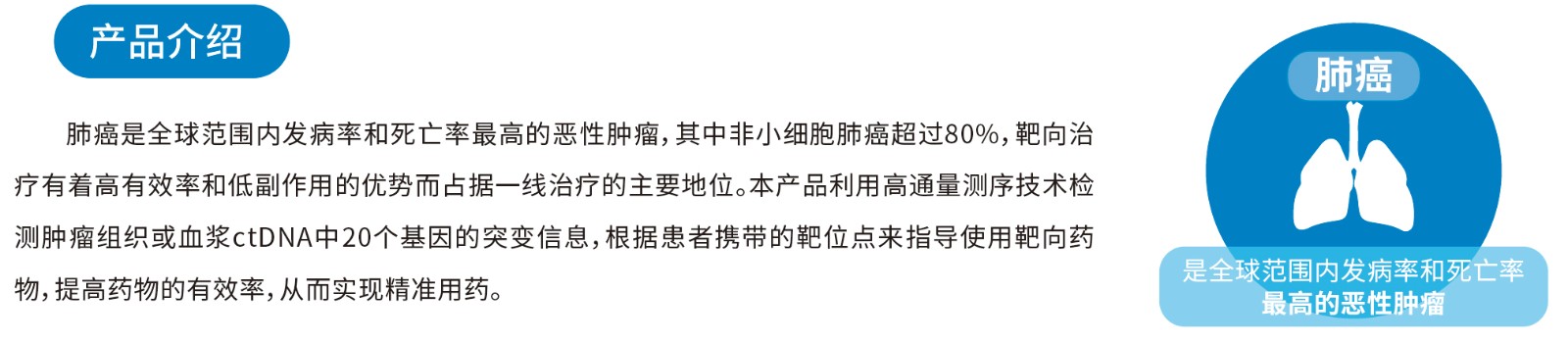 20基因介紹.jpg